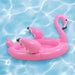 33377606 Outdoor/Pool Supplies/Pool Floats Toys and Games