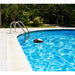 30924647 Outdoor/Pool Supplies/Pool Cleaning and Chemicals