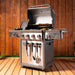 RV-401BBQ Outdoor/Grills & Outdoor Cooking/Gas Grills