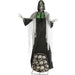 HHGRVYDSKEL-1FLSA Holiday/Halloween/Halloween Indoor Decor
