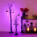 HHPTSET3-1PUR/BLK Holiday/Halloween/Halloween Outdoor Decor