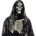 HHROTRPR-1FLSA Holiday/Halloween/Halloween Indoor Decor