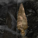 HHSKEL-8HLSA Holiday/Halloween/Halloween Indoor Decor