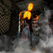 HHSMOLDRGHL-4FLSA Holiday/Halloween/Halloween Outdoor Decor
