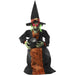 HHWITCH-40FLSA Holiday/Halloween/Halloween Indoor Decor