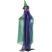 HHWITCH-42FLSA Holiday/Halloween/Halloween Indoor Decor