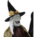 HHWITCHSTR-2FLSA Holiday/Halloween/Halloween Indoor Decor