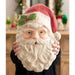 TD3176 Holiday/Christmas/Christmas Indoor Decor