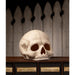 TD4136 Holiday/Halloween/Halloween Indoor Decor