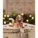 TD4197 Holiday/Christmas/Christmas Indoor Decor