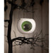 TF4239 Holiday/Halloween/Halloween Indoor Decor