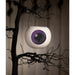 TF4240 Holiday/Halloween/Halloween Indoor Decor