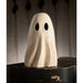 TJ2301 Holiday/Halloween/Halloween Indoor Decor
