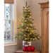 TL4383 Holiday/Christmas/Christmas Indoor Decor
