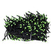 AD1062RGB Holiday/Christmas/Christmas Lights