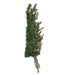 TR0216LED Holiday/Christmas/Christmas Trees