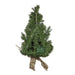 TR0216LED Holiday/Christmas/Christmas Trees