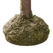 TR3282 Holiday/Christmas/Christmas Indoor Decor