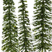 TR3295GR Holiday/Christmas/Christmas Indoor Decor
