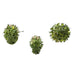TR3295GR Holiday/Christmas/Christmas Indoor Decor
