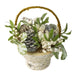 33650091 Holiday/Thanksgiving & Fall/Thanksgiving & Fall Tableware and Decor