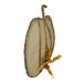 33650136 Holiday/Thanksgiving & Fall/Thanksgiving & Fall Tableware and Decor