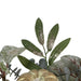 34315216 Decor/Faux Florals/Wreaths & Garlands