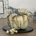 34315217 Holiday/Thanksgiving & Fall/Thanksgiving & Fall Tableware and Decor