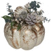 34315217 Holiday/Thanksgiving & Fall/Thanksgiving & Fall Tableware and Decor