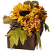 34315219 Holiday/Thanksgiving & Fall/Thanksgiving & Fall Tableware and Decor