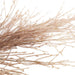35252326 Holiday/Thanksgiving & Fall/Thanksgiving & Fall Tableware and Decor