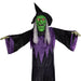 35764804 Holiday/Halloween/Halloween Outdoor Decor
