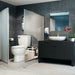 013 Bathroom/Toilets Bidets & Bidet Seats/Macerating Toilets
