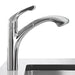 04076000 Kitchen/Kitchen Faucets/Pull Out Spray Faucets