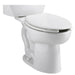 3483001.020 Parts & Maintenance/Toilet Parts/Toilet Bowls Only