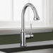 04215800 Kitchen/Kitchen Faucets/Pull Down Spray Faucets