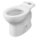 3517D101.020 Parts & Maintenance/Toilet Parts/Toilet Bowls Only