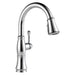 9197-PR-DST Kitchen/Kitchen Faucets/Pull Down Spray Faucets