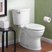 211BA.104.020 Bathroom/Toilets Bidets & Bidet Seats/Two Piece Toilets
