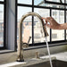 64025LF-PN Kitchen/Kitchen Faucets/Pull Down Spray Faucets