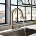 64025LF-PN Kitchen/Kitchen Faucets/Pull Down Spray Faucets