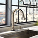 64025LF-PN Kitchen/Kitchen Faucets/Pull Down Spray Faucets