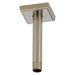 RP70764BN Parts & Maintenance/Bathtub & Shower Parts/Shower Arms