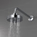 RP71648PC Parts & Maintenance/Bathtub & Shower Parts/Shower Arms