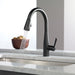 9113-DST Kitchen/Kitchen Faucets/Pull Down Spray Faucets