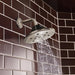 87461-NKBL Bathroom/Bathroom Tub & Shower Faucets/Showerheads