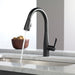 9113-AR-DST Kitchen/Kitchen Faucets/Pull Down Spray Faucets