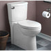 735158-400.020 Parts & Maintenance/Toilet Parts/Toilet Tank Covers