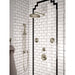 TS1422BN Bathroom/Bathroom Tub & Shower Faucets/Body Sprays