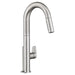 4931.300.075 Kitchen/Kitchen Faucets/Pull Down Spray Faucets